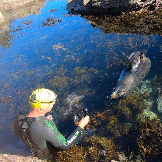 Hanging out with the free wildlife at the Mount.  Image credit Ange Wallace