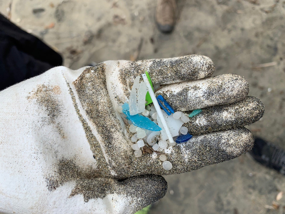 Taking care of our big blue backyard... We can all make a difference!