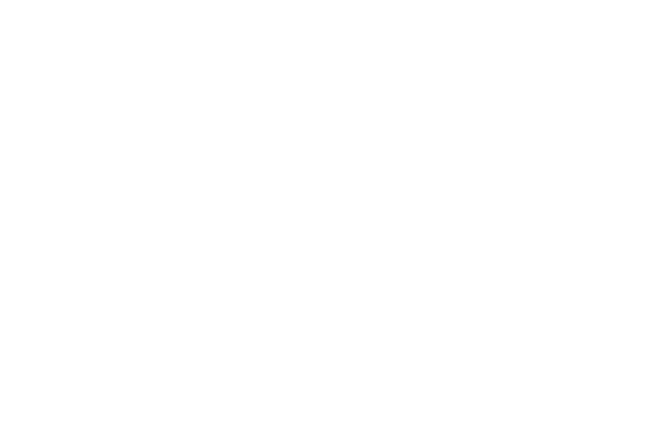 blueseventy nz logo